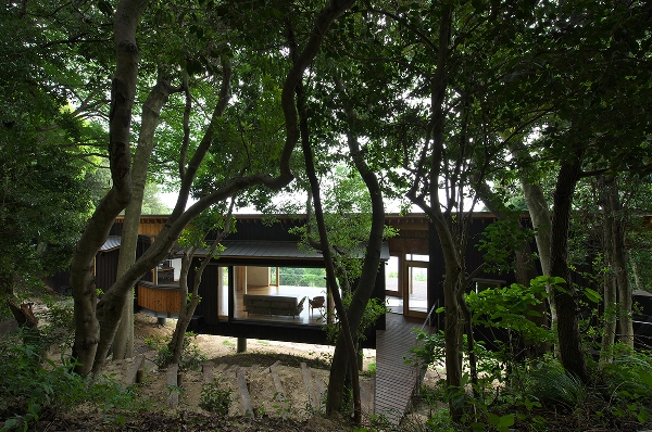 　樹林の家　撮影：生田将人