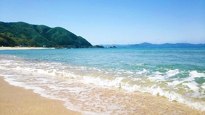 ダミー画像